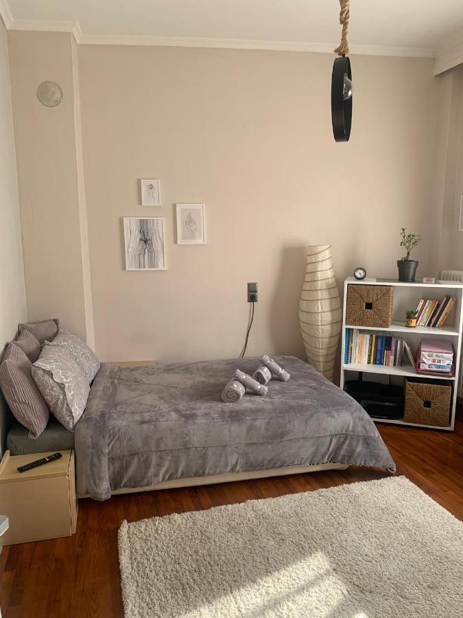 Petra'S House Apartment Florina Exterior photo